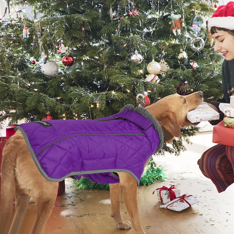 Fragralley Dog Winter Coat Jacket - Reflective Adjustable Windproof Dog Turtleneck Clothes, Doggie Cold Weather Vest, Warm Fleece Lining Puppy Snow Coat for Small Medium Large Dogs Purple - BeesActive Australia
