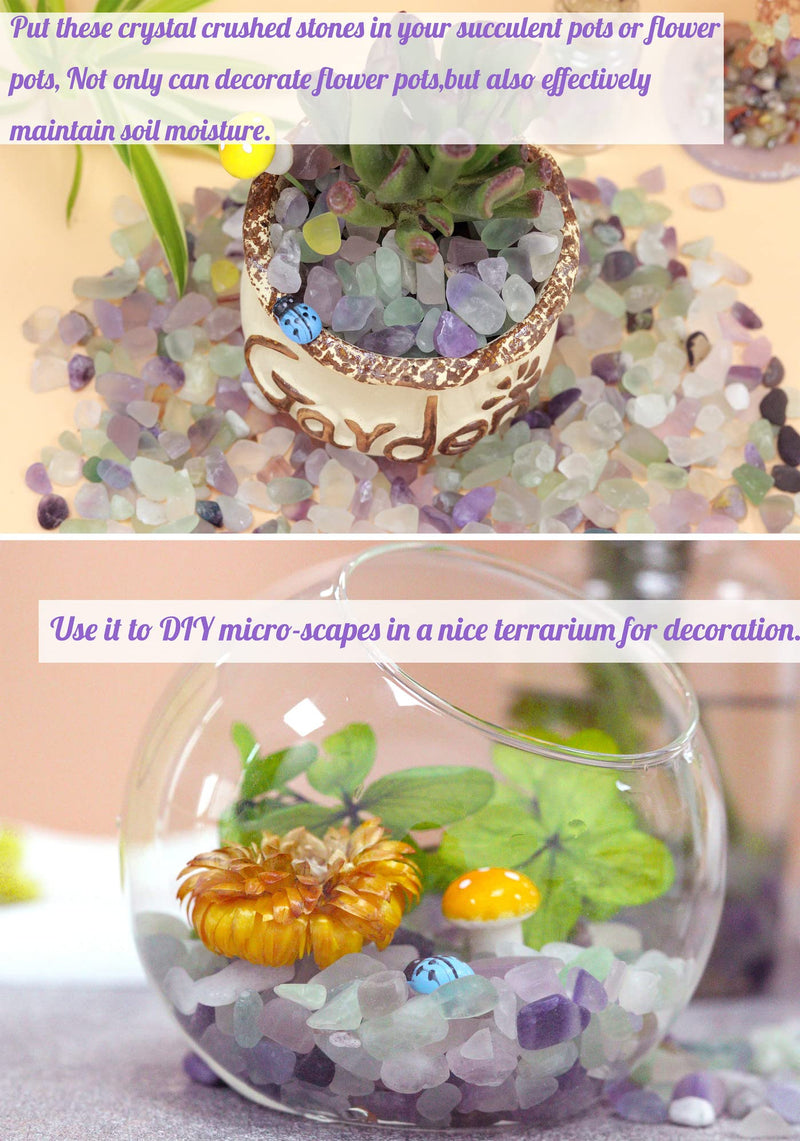 1lb Fluorite Aquarium Gravel Rocks Natural Tumbled Healing Crystal Chips Bulk Gemstones Crushed Stones for Fountain Vase Filler Planters Decorative Fish Tank Potted Reiki Energy Balancing 1-fluorite - BeesActive Australia