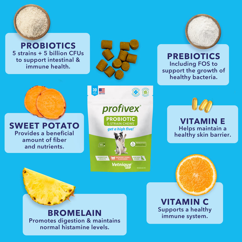 Glandex 120ct Peanut Butter Fiber Supplement Soft Chews with Profivex 30ct Pet Probiotic Soft Chews Bundle - BeesActive Australia