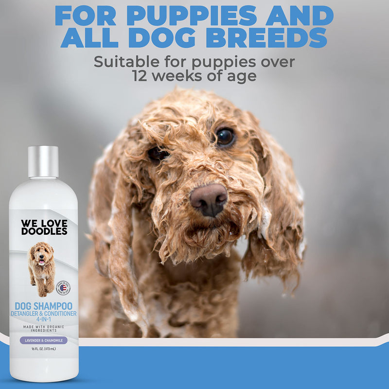 We Love Doodles - Dog Shampoo, Conditioner, and Detangler - Best Shampoo for Goldendoodles and Doodles - Dog Shampoo for Puppies - Grooming, Organic Ingredients, Lavender, Moisturizing, Best Smelling - BeesActive Australia