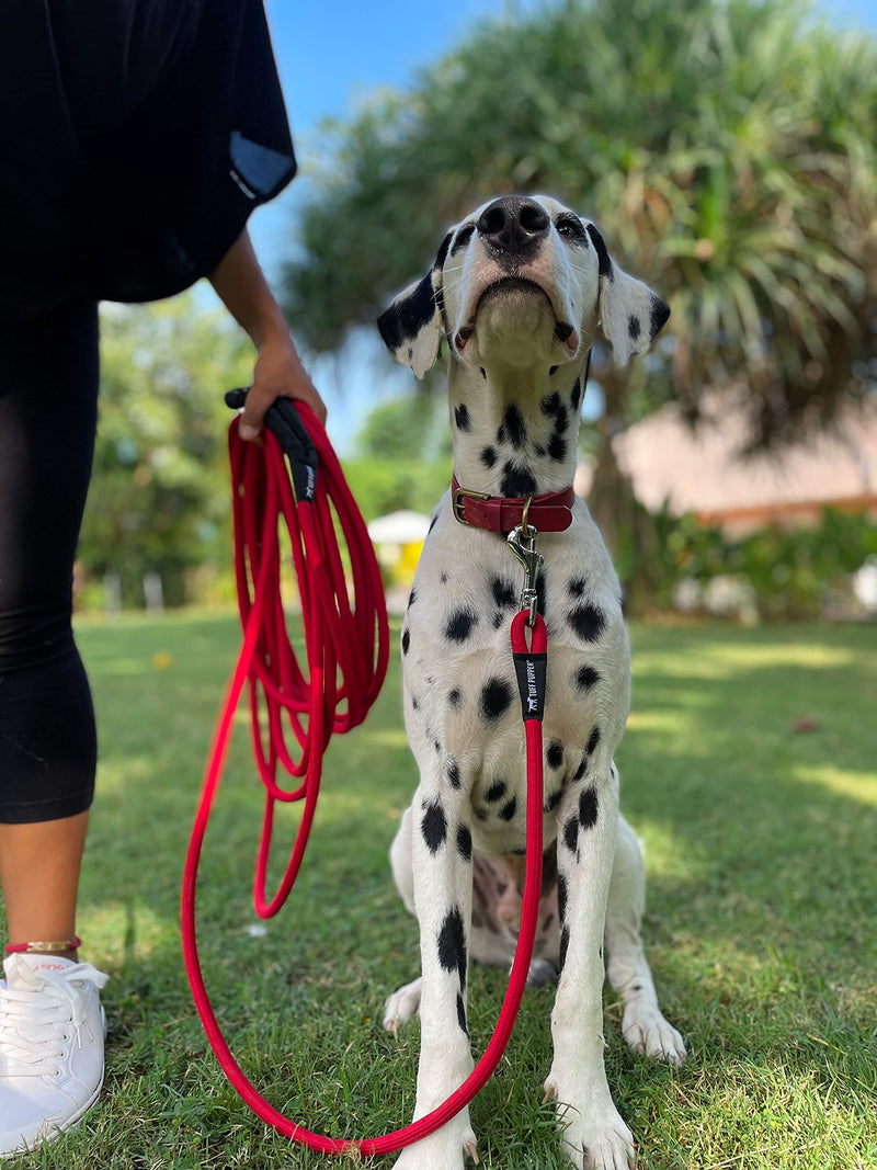 Tuff Pupper Heavy Duty 30 Foot Long Rope Leash for Dogs | Dog Recall Training Leash | High Visibility Strong Climbing Rope Leash | Hand or Waist Worn | Stainless Steel 360° Clips for Tangle Free Use March Red - BeesActive Australia