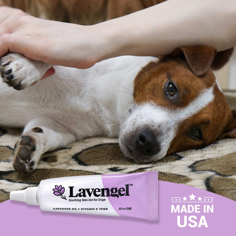 Lavengel Dog Skin Care Gel - Highly Concentrated Antimicrobial Ointment Relieves Itchy Skin and Heals Wounds Naturally, First-Aid for Skin Irritations, Hotspots, Sores, and Acne, We Support Rescues - BeesActive Australia