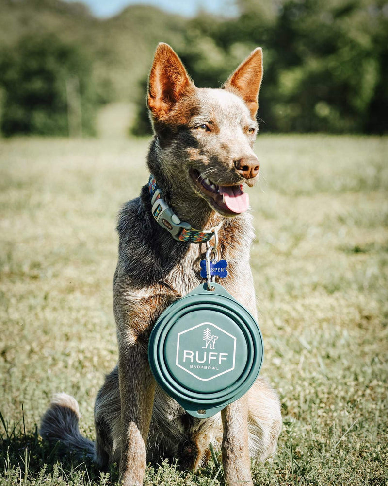 Ruff Products BarkBowl (800ml) - Collapsible Dog Bowl Dark Teal - BeesActive Australia