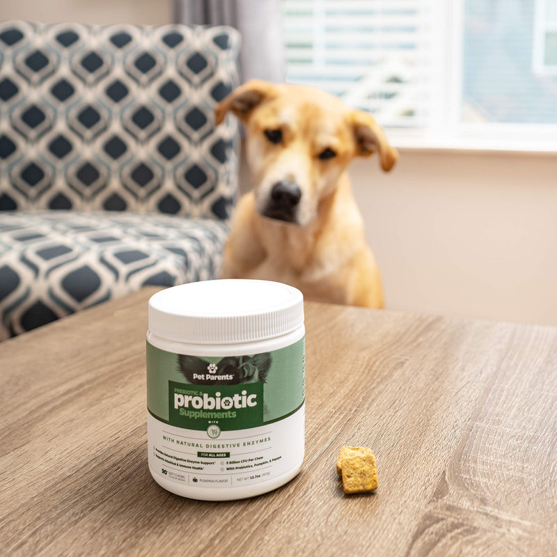 Pet Parents USA Pre & Probiotics for Dogs 4g 90c - 5.5B CFUs/Chew + Dog Enzymes + Pumpkin for Dogs, Papaya & Canine Probiotics - Dog Upset Stomach Relief, Anti Diarrhea for Dogs, Dog Probiotics - BeesActive Australia