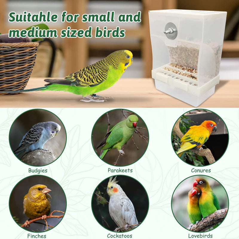 Tfwadmx 2 Pcs No Mess Automatic Bird Feeders Cockatiel Food Dispenser Bowls Seed Container Parrot Dishes Parakeet Cage Accessories Birdfeeder with Divider for Budgie Canary Finch Conure Lovebirds - BeesActive Australia