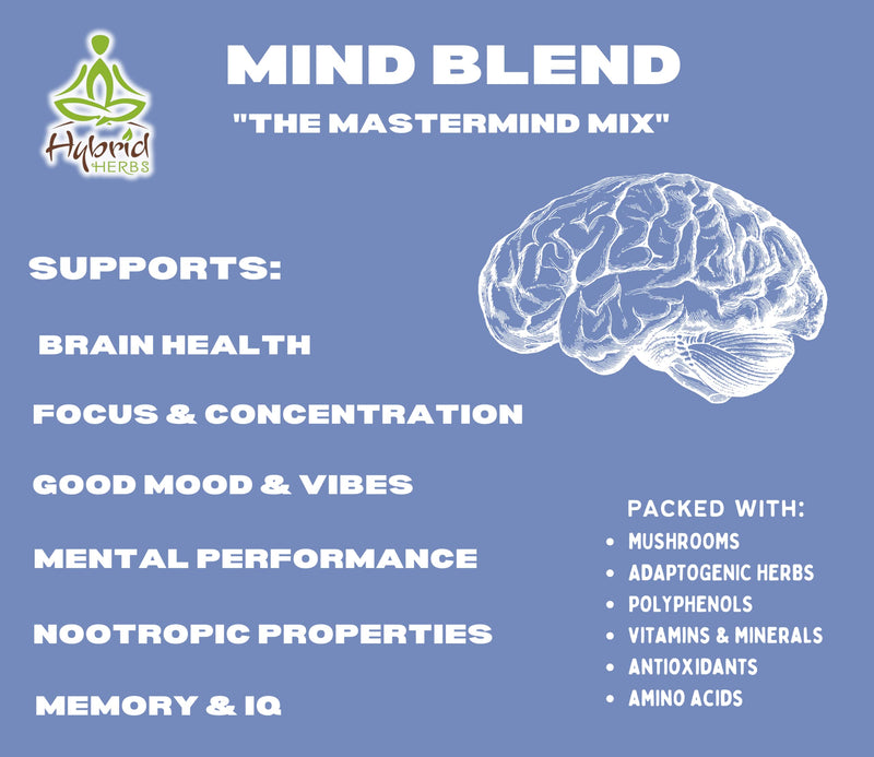 HYBRID HERBS - MIND BLEND | Organic Lions Mane, Tremella, Reishi Mushrooms | 10:1 Concentrated Extract Powder | Nootropic & Adaptogen for Concentration Focus Memory Brain Support | 100 servings (100g) - BeesActive Australia