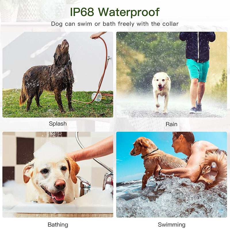 Dog Training Collars with Remote, Electronic Dog Shock Collars with Beep, Vibration, Shock, Light and Keypad Lock Mode, Waterproof Electric Dog Collar Set for Small Medium Large Dogs - BeesActive Australia