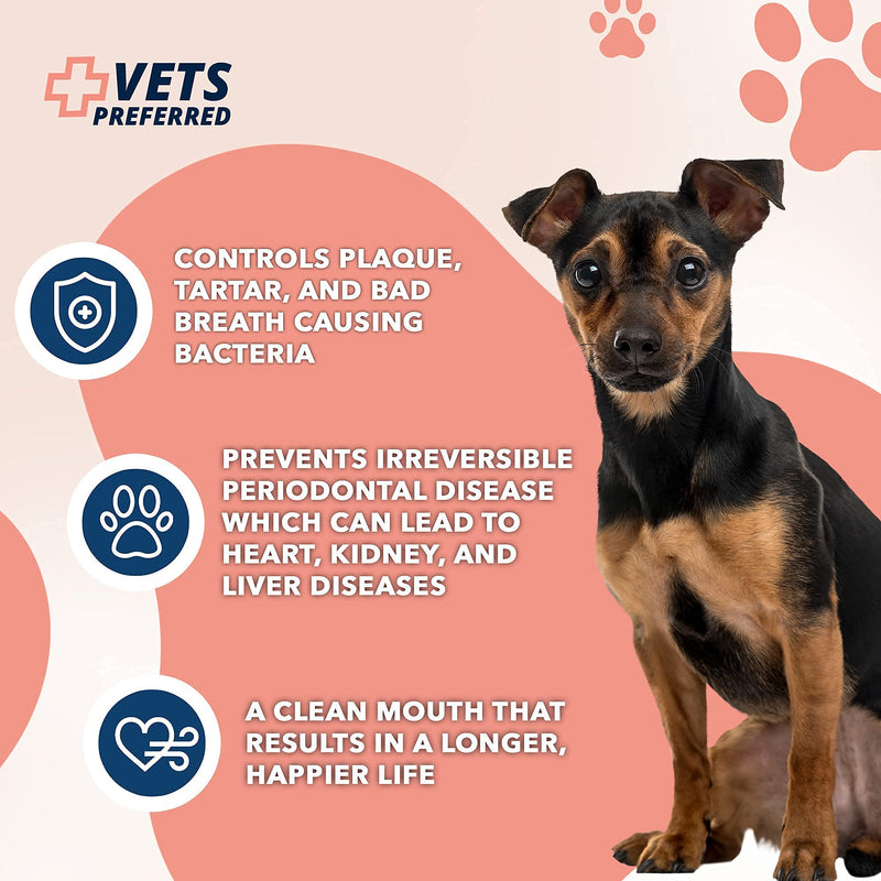 Vets Preferred Dog Toothpaste & Freshener, Advanced Enzymatic Toothpaste & Oral Care Water Additive for Dogs - BeesActive Australia