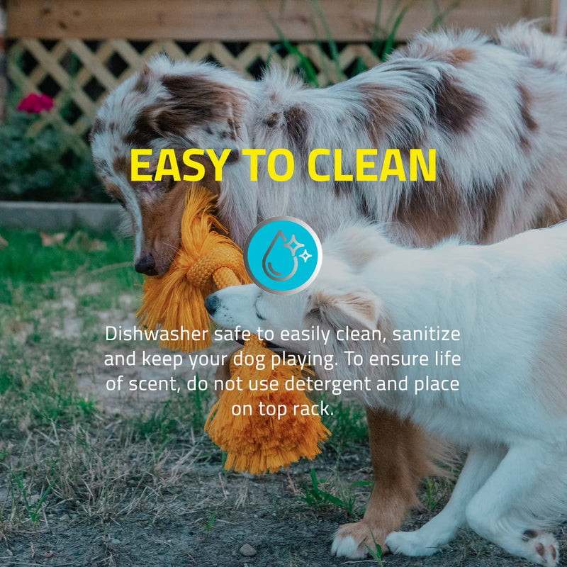 Playology Dri-Tech Ring Dog Toy - Engaging All-Natural Scented Dog Toys for Small, Medium & Large Dogs - Interactive & Tough Non-Toxic Chew Toys for Teething Large Rope Cheddar Cheese - BeesActive Australia