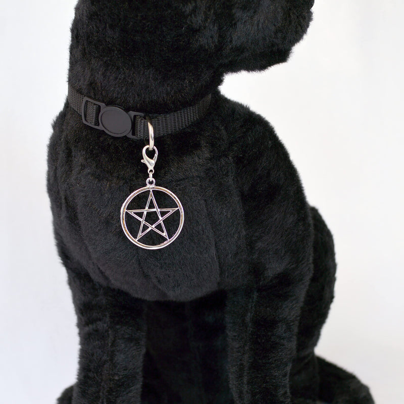 Black Cat Collar with Wiccan Pagan Pentacle Silver Finish On Safety Breakaway Collar Adjustable Neck Size 8 to 12 Inches - BeesActive Australia