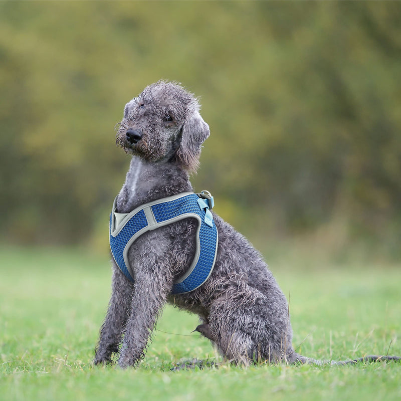 Kruz PET KZA308 Reflective V-Neck Step In Mesh Dog Harness - No Pull, Quick Fit, Comfortable, Velcro-Adjustable Pet Harnesses for Walking & Training - Small, Medium Dogs Gray - BeesActive Australia