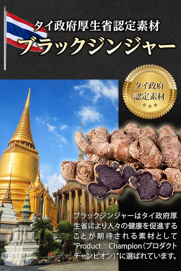 Healthy Naiba Bone EX Tummy Fat, Reduce Visceral/Subcutaneous Fat Diet Support, Black Ginger Supplement, Tablet, Food with Functional Indication, 30 Day Work, Black Ginger, Hihatsu, Kombucha, Carnitine, Gymnema, Capsaicin EAA - BeesActive Australia