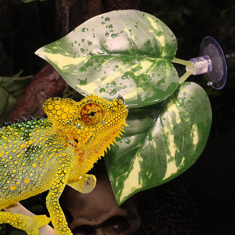 Reptile Plants Leaves Terrarium Plants Habitat Decoration Accessories Decorate Grass Leaf with Suction Cup for Gecko Snake Tortoise 5pcs - BeesActive Australia