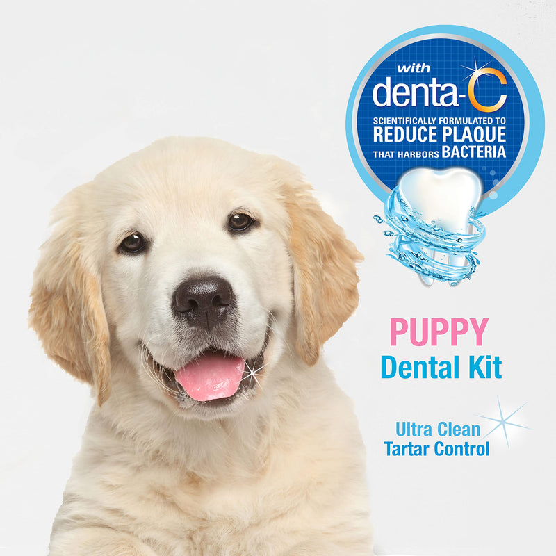 Nylabone Advanced Oral Care Puppy Dental Kit Puppy Original 3 Count - BeesActive Australia