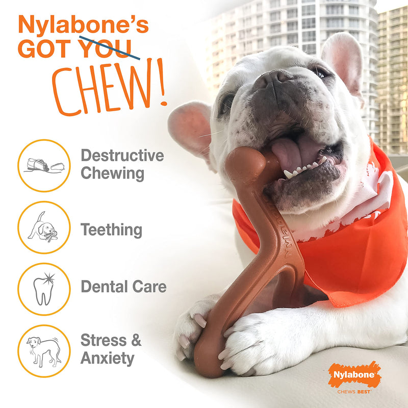 Nylabone Power Chew Alternative Dog Chew Toys for Medium/Large/X-Large Dogs Antler Venison Large/Giant (1 Count) - BeesActive Australia