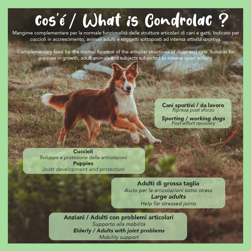 CONDROLAC Glucosamine Chondroitin for Dogs and Cats, High Dosage - Dog Joint Supplement Made in Italy, 90 Chewable and Divisible Tablets for Puppies, Adults and Senior - Dulàc Pet Care - BeesActive Australia