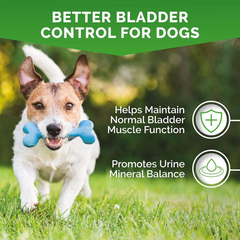 Premium Care Cranberry Bladder Chews - Dog Supplements for Urinary Tract (UT) Health, Bladder and Kidney Support - Cranberry Chewables with Vitamins for Better Bladder Control for Dogs - 120 Chews - BeesActive Australia