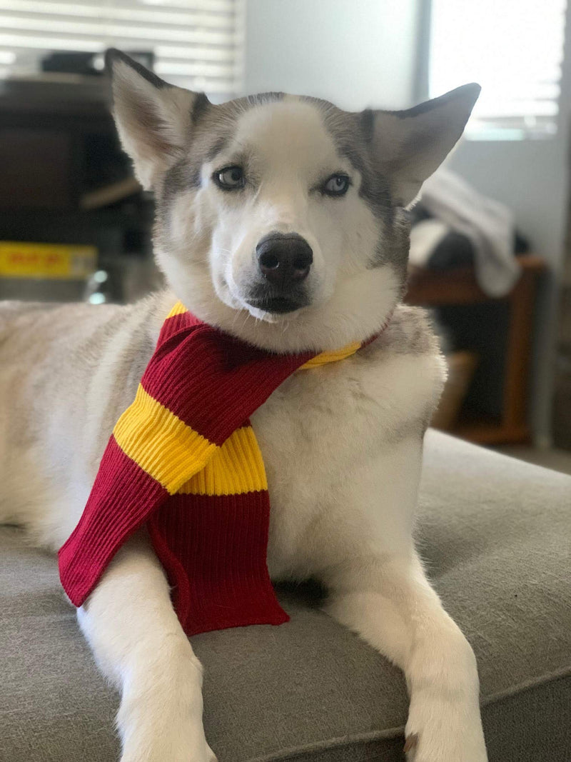 ComfyCamper Red and Yellow Striped Scarf for Dog Costumes, Clothes for Dogs Pets and Cats Large - BeesActive Australia
