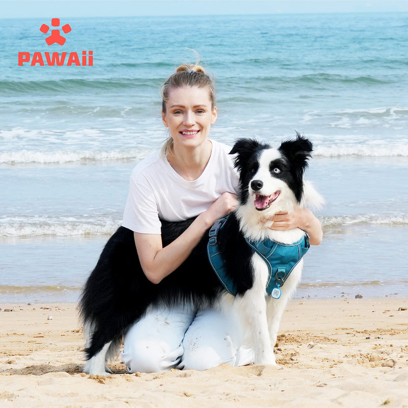 Pawaii Dog Harness, No-Pull Pet Harness with Pet ID Tag, No Choke Front Lead Dog Harness, Adjustable Soft Padded Pet Vest with Easy Control Handle M (Chest: 22"-27" ) Teal Green - BeesActive Australia