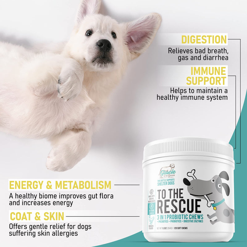 Probiotic Chews for Dogs with Pre and Probiotics - Advanced Dog Probiotics and Digestive Enzymes, Diarrhea Treatment, Itchy Skin, Upset Stomach, coprophagia, UTI's, Dog Allergy - BeesActive Australia