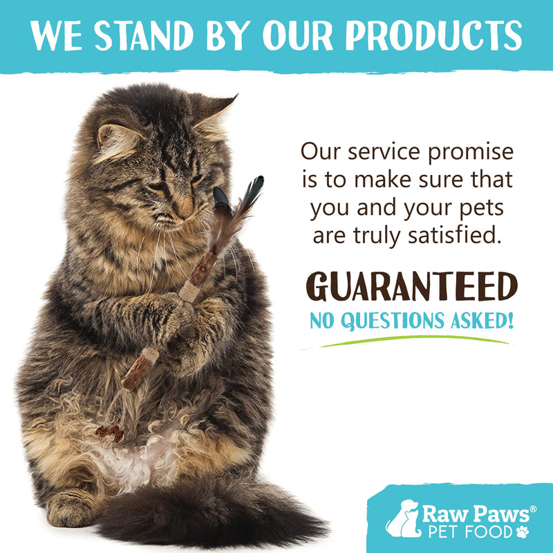 Raw Paws Silvervine Sticks Cat Feather Toys for Indoor Cats, 3 ct - Interactive Cat Toys with Feathers - Cat Kicker Toy - Catnip Toys for Cats - Cat Feather Stick, Silvervine for Cats, Matatabi Sticks - BeesActive Australia