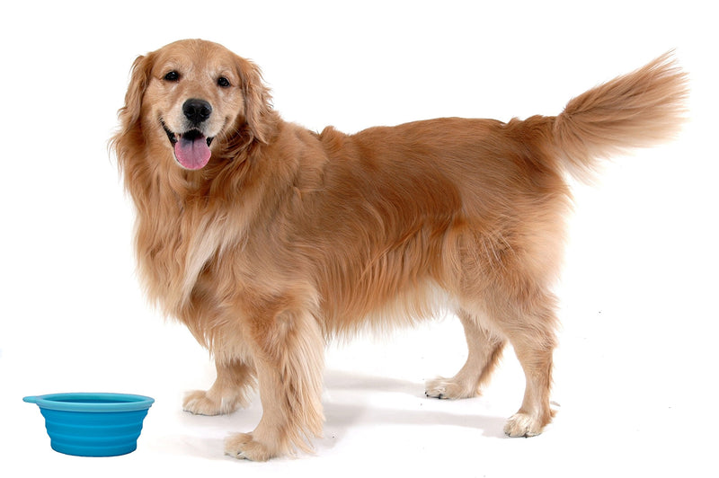 Prima Pet Collapsible Silicone Water Travel Bowl with Clip for Dog and Cat, Portable and Durable Pop-up Feeder for Convenient On-The-go Feeding – Size: Large (5 Cups) Aqua – 2 Pack LARGE (5 CUPS) - 2 PACK - BeesActive Australia