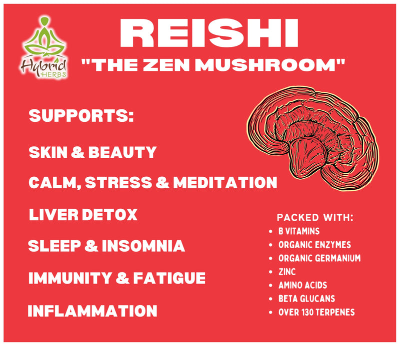 HYBRID HERBS � ORGANIC REISHI MUSHROOM | 10:1 Extract Powder of Ganoderma Lucidum | Nootropic Supplement, Polysaccharides & Beta Glucans for Immune, Vitality, Skin & Liver Support | 56 Servings (56g) - BeesActive Australia