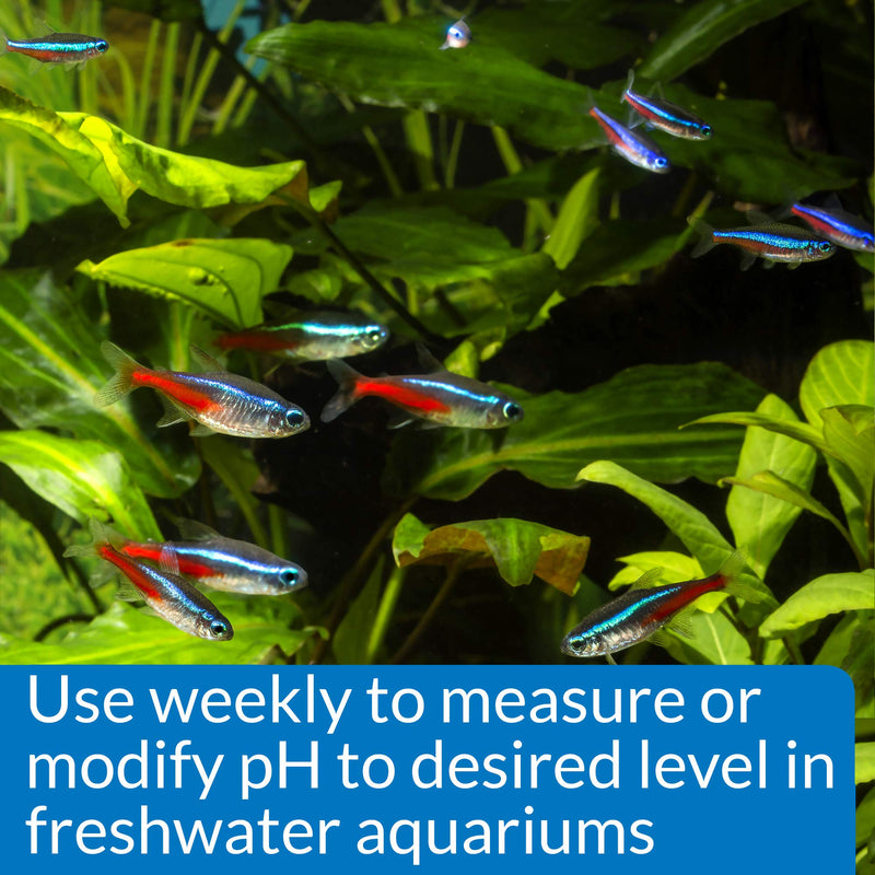 API pH TEST & ADJUSTER KIT 250-Test Freshwater Aquarium Water pH Test and Adjuster Kit (29A) - BeesActive Australia