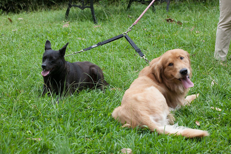2PET Double Dog Leash Tangle Free Adjustable Leash Coupler - Ideal Dog Leash for 2 Dogs Extension - Forget About Messy Tangled Walks of Dogs - Ebony Black - BeesActive Australia