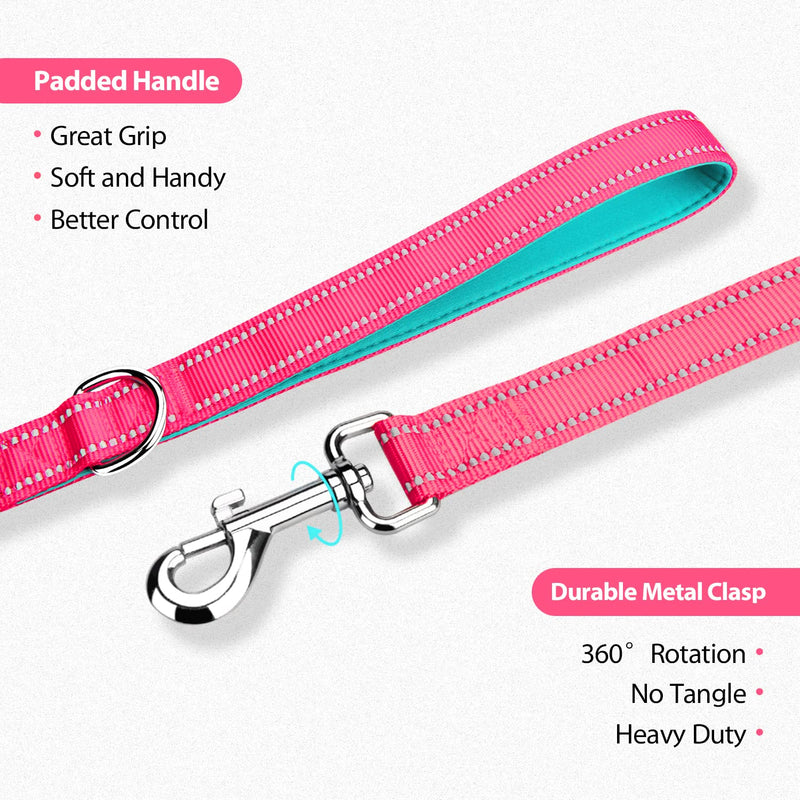 PHOEPET 5 Feet Dog Leash - Dual-Side Reflective - Soft Padded Handle - Fit for Walking, Training or Exploring Hiking, Camping L(Width: 1") Pink + Mint Green Base - BeesActive Australia