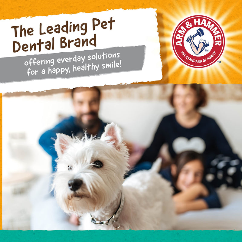 Arm & Hammer for Pets Super Treadz Dental Chew Toy for Dogs, Gator/Gorilla/Blowfish - Best Dental Dog Chew Toy - Durable Dog Dental Chew Toys - for Dogs up to 35 lbs Gorilla Large - 1 Pack - BeesActive Australia