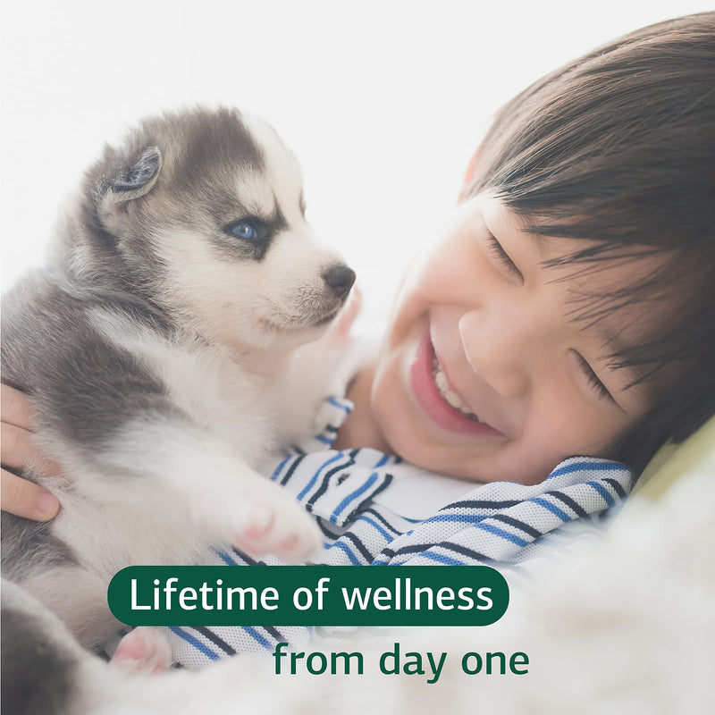 Standard Process - Puppy Pack - New Pet Supplement Kit Includes Canine Whole Body Support and Canine Immune System Support - BeesActive Australia