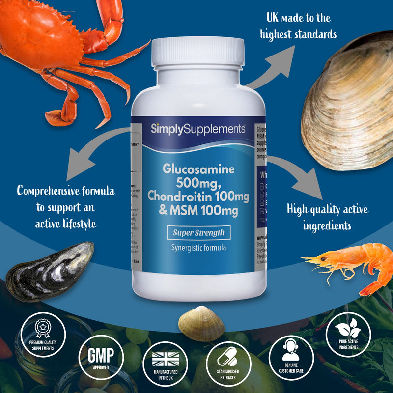 Glucosamine, Chondroitin & MSM | Comprehensive Formula to Support an Active Lifestyle | 120 Tablets | Manufactured in The UK - BeesActive Australia