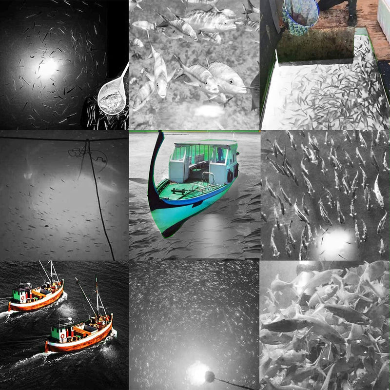 SAMDO IP68 12V LED Underwater Fishing Light 1080 Lumens Fish Attracting Light, Night Fishing Light 10.8W white - BeesActive Australia