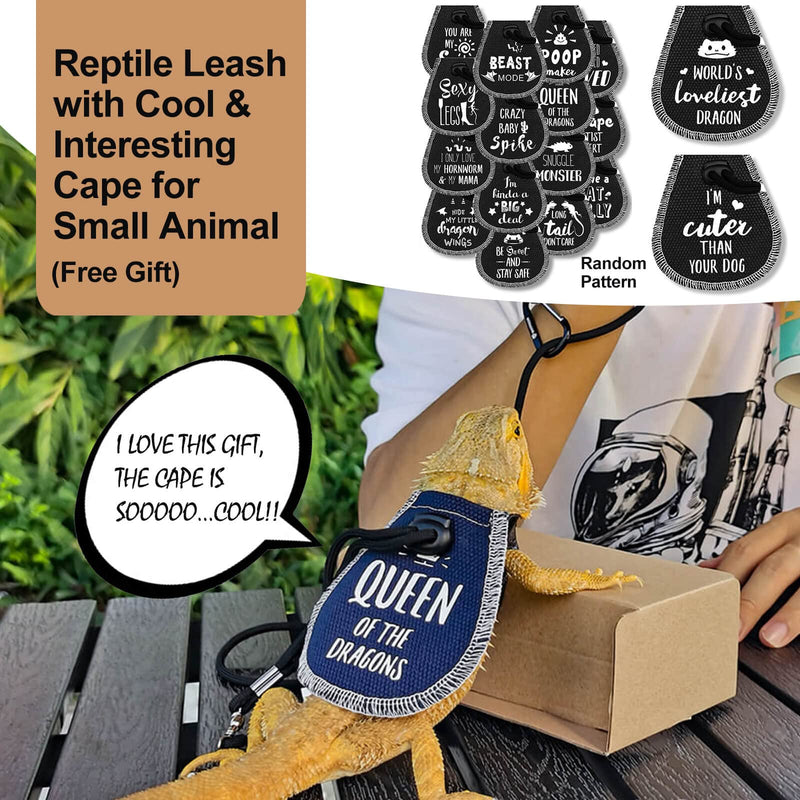 Reptile Sleeping Bed Lizard Leash Harness Wings Set Bearded Dragon Sleeping Bag with Blanket Pillow Reptile Accessories Warm Cotton Nest Hide Habitat Shelter for Guinea Pig Rat Hamster Leopard Gecko Bed Pillow Set with Wings Leash Gift for Other Small ... - BeesActive Australia