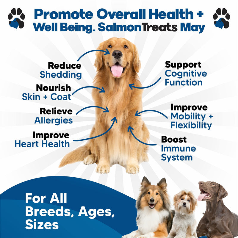 Wild Alaskan Salmon Oil for Dogs - Dog Skin and Coat Supplement - Shedding & Itch Relief for Dogs - Omega 3 Fish Oil for Dogs Chews - 120 Dog Allergy Chews - Dog Shedding Supplement - Dog Vitamins - BeesActive Australia