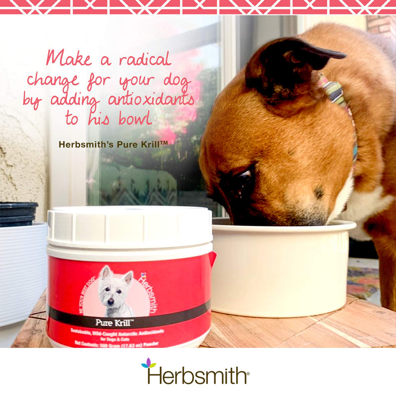Herbsmith Pure Krill - Wild-Caught Antarctic Krill - Just 1 Ingredient - Astaxanthin for Dogs - Ready-to-Use Omega 3s 150g - BeesActive Australia