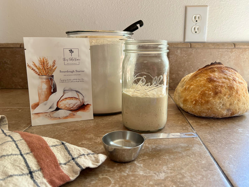 Dehydrated Sourdough Starter She's Rooted Home | Artesian Style Dehydrated Wild Yeast For Baking Sourdough Bread | Perfect for Pizza, Scones, Crackers,Focaccia, & More | Gut Healthy Organic Non-GMO Traditional Bread - BeesActive Australia