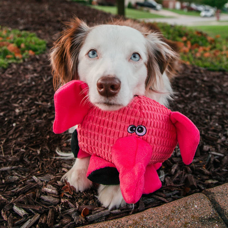 Snuggle Puppy Tender-Tuffs Ball - Round Pink Elephant Plush Dog Toy - Cute and Fun Plush Ball with Squeakers - BeesActive Australia