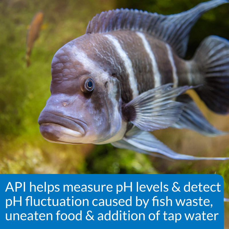 API HIGH RANGE PH TEST KIT 160-Test Freshwater and Saltwater Aquarium Water Test Kit, 150-watt halogen bulb - BeesActive Australia