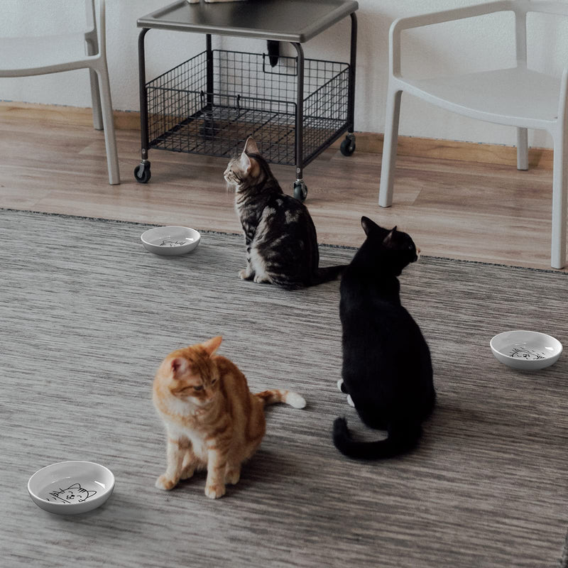Y YHY Ceramic Cat Dishes, Cat Food Bowls Whisker-Friendly, Cat Bowls for Food and Water, Wide and Shallow Pet Dishes for Cat, Kitten, Kitty, and Rabbits, 3 Pack, 5 OZ, White - BeesActive Australia