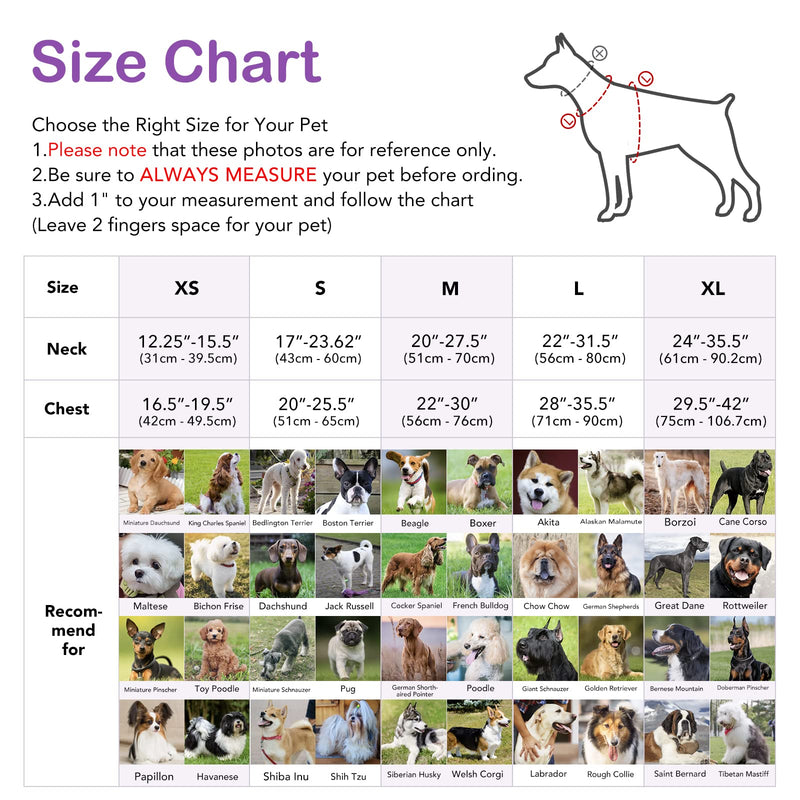 Light Up Dog Harness No Pull LED Dog Harness with Handle Vizbrite Rechargeable Lighted Dog Vest Harness for Small/Medium/Large/X-Large Size Dogs No Pull, 4 Point Adjustable Easy Walk Dog Harness. Purple-Pink Medium - BeesActive Australia