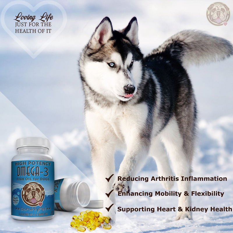 ScruffyPet Pure Omega 3 Wild Fish Oil for Dogs with Vitamin E - Highest EPA & DHA Softgels Available (1000mg) 180ct - BeesActive Australia