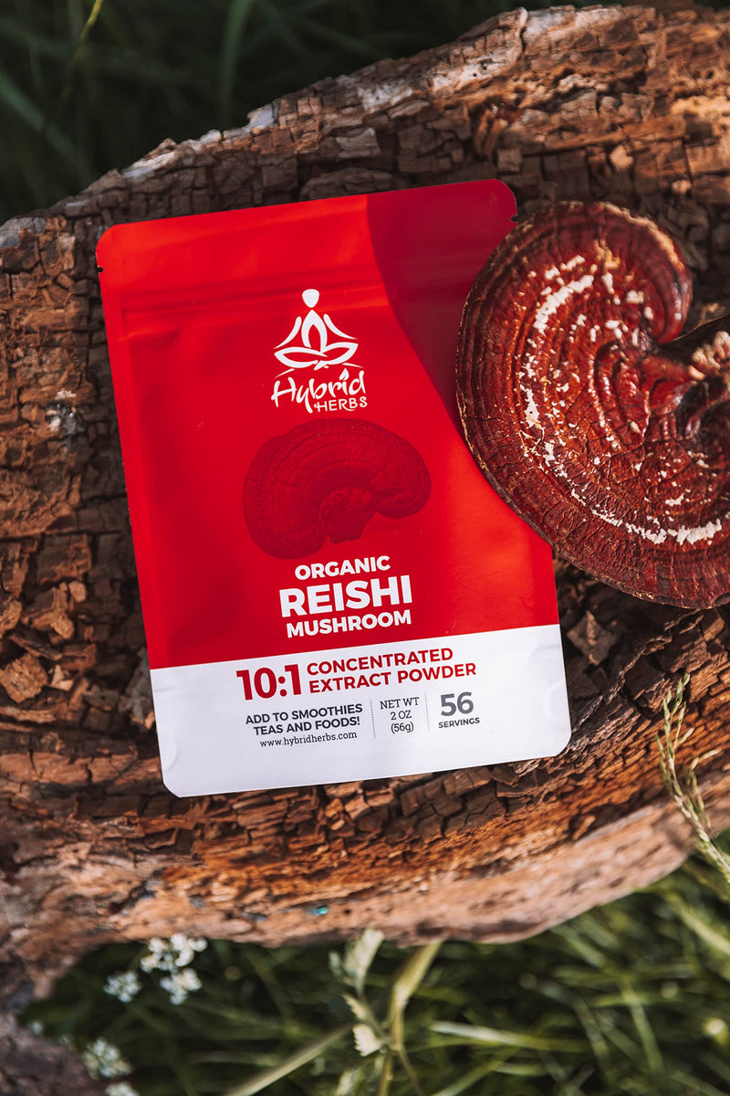 HYBRID HERBS � ORGANIC REISHI MUSHROOM | 10:1 Extract Powder of Ganoderma Lucidum | Nootropic Supplement, Polysaccharides & Beta Glucans for Immune, Vitality, Skin & Liver Support | 56 Servings (56g) - BeesActive Australia