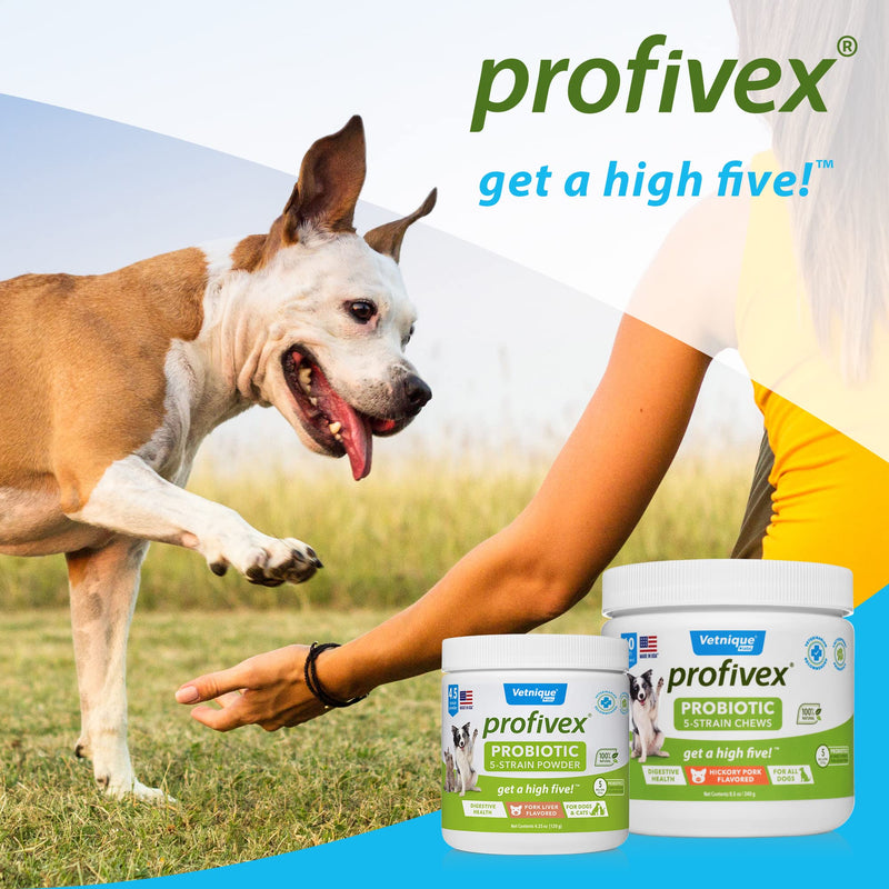 VETNIQUE Labs Profivex Probiotics for Dogs and Cats: Daily Pet Digestive 5 Strain Probiotics Powder with Prebiotics & Added Fiber from Sweet Potato - Pork Liver Flavor 4.25 oz - BeesActive Australia