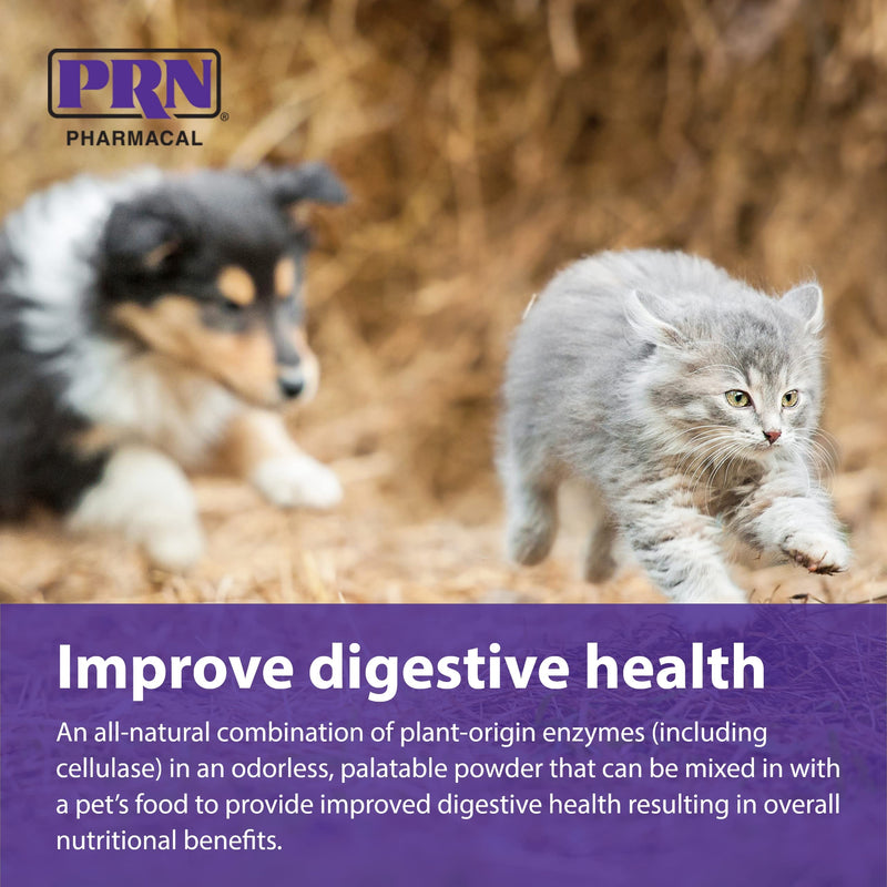 PRN Pharmacal ProZyme Original Formula Enzyme Replacement Supplement - Reinforces Animal's Digestive System, Supports Dog & Cat Food Breakdown - Promotes Pet's Digestive Health - 454 g, 1 lb Bottle - BeesActive Australia