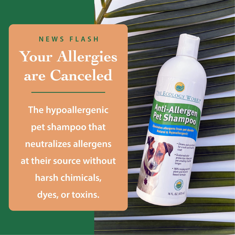 The Ecology Works Anti-Allergen Pet Shampoo 1-Pack + Mitt - BeesActive Australia