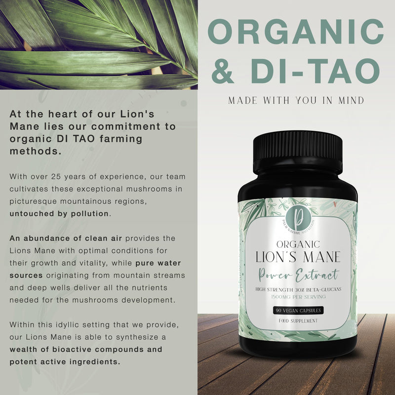 Organic Lions Mane Supplement with Black Pepper - High Strength 10:1 Extracts, Not Powders - 30% Beta-Glucans - Formulated for Cognitive Health - 90 Vegan Capsules - 1500mg Per Serving - BeesActive Australia