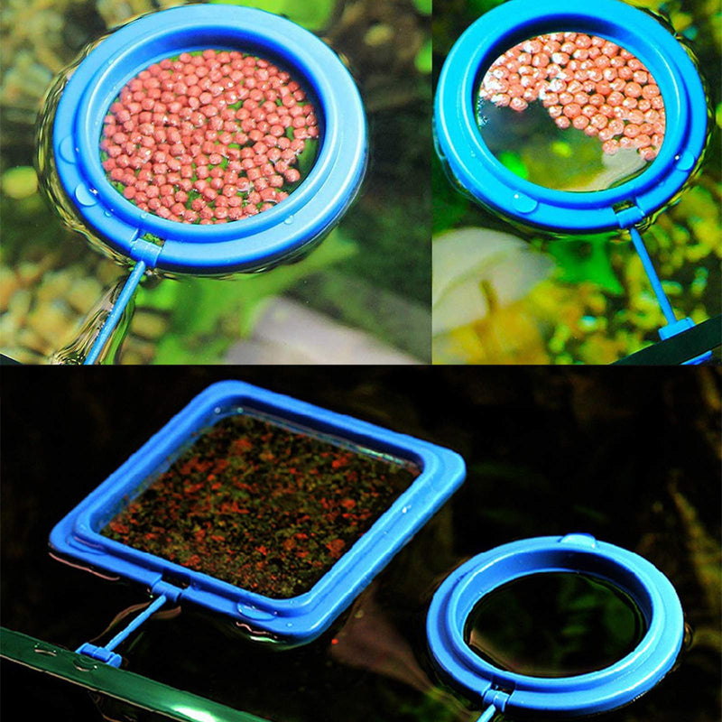 Lucky Interests 10 PCS Fish Feeding Rings Set, Square & Round Shape Fish Food Feeder Circle, with Suction Cup for Aquarium, Blue Floating Food Feeder for Guppy, Goldfish, Small Fish Include 10 Spoons - BeesActive Australia