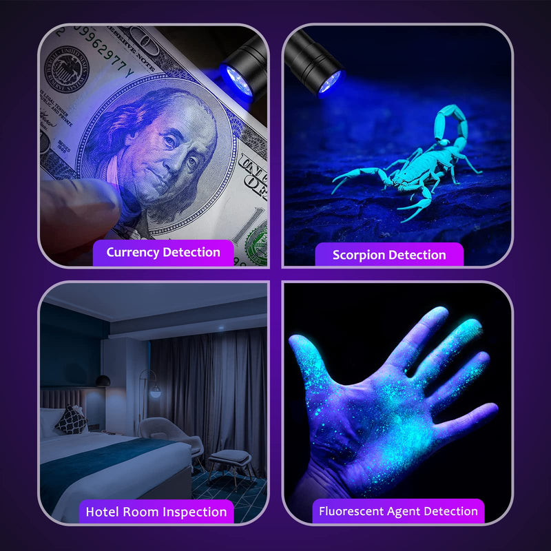 UV Flashlight Black Light, Handheld Blacklight Flashlights 12 Led 395nm Mini Light Torch Detector for Dog Pet Urine Stains, Bed Bugs and Scorpions, AAA Batteries Included - BeesActive Australia